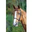 Velociti Gara Raised Cavesson Bridle in Brown