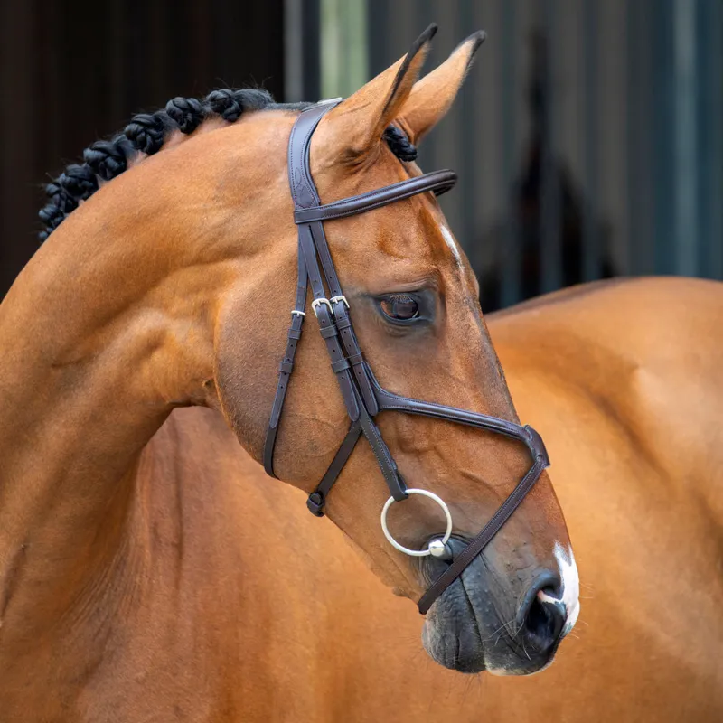 Velociti Lusso Grackle Bridle in Havana Brown
