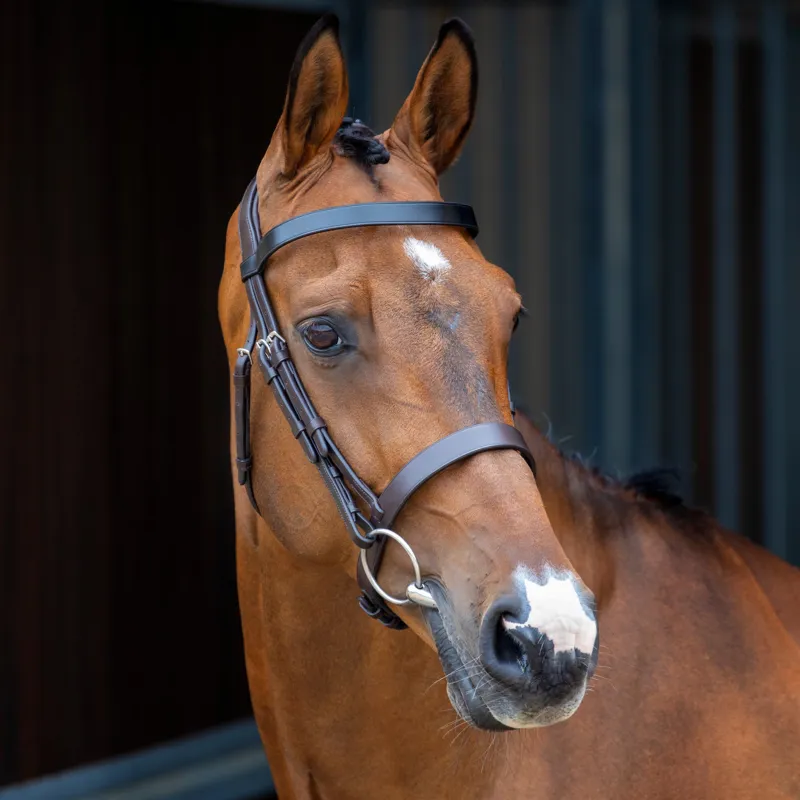 Velociti Lusso Hunter Cavesson Bridle in Havana Brown