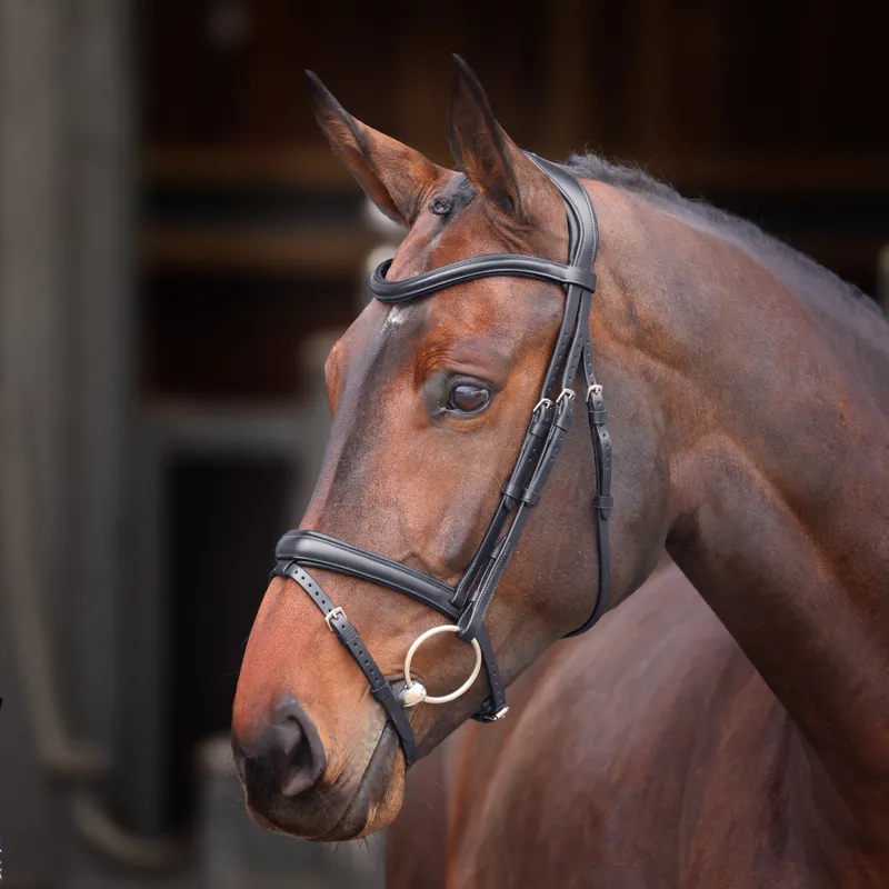Velociti Lusso Padded Raised Flash Bridle in Black-1