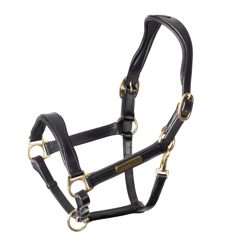 Velociti Rapida Cushioned Leather Headcollar in Black