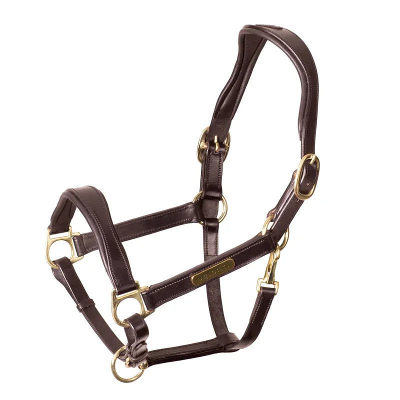 Velociti Rapida Cushioned Leather Headcollar in Havana Brown