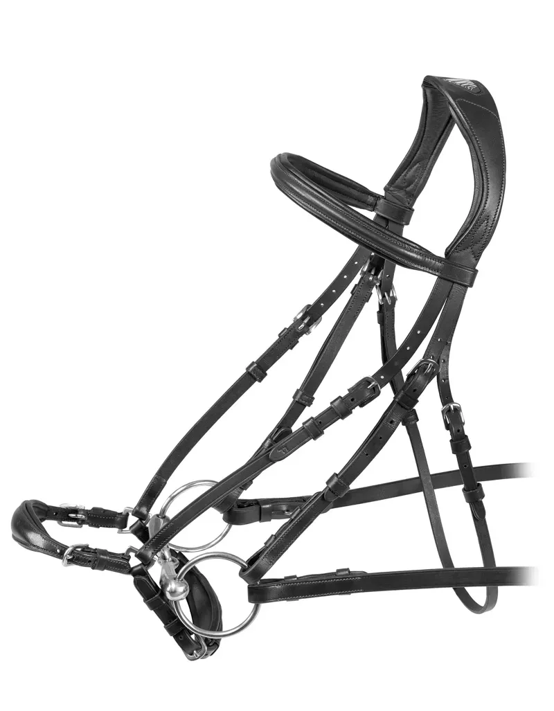 Velociti Rapida Drop Noseband Bridle in Black
