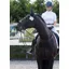Woof Wear Bridle Number Holder in Black
