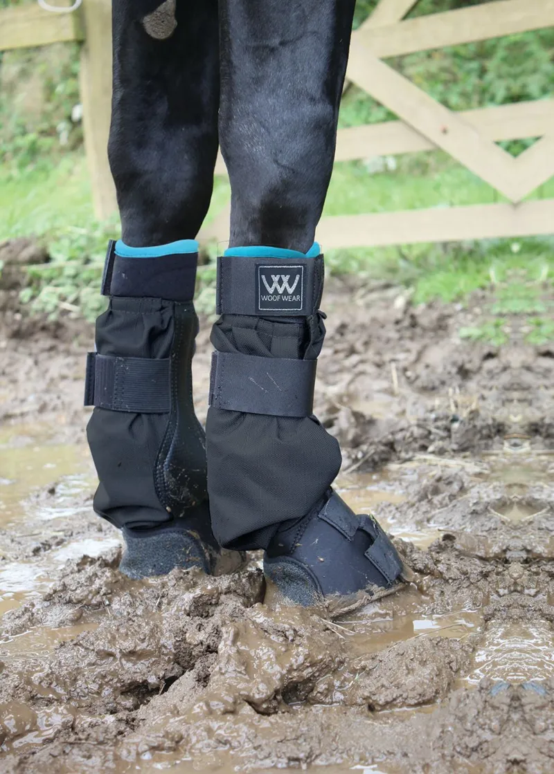 Woof Wear Mud Fever Boot in Black and Turquoise-1