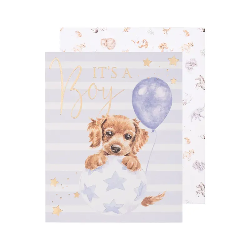 Wrendale Designs Bouncing Boy Its A Boy Greeting Card