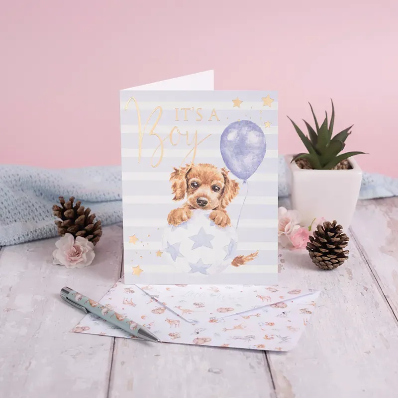 Wrendale Designs Bouncing Boy Its A Boy Greeting Card-1