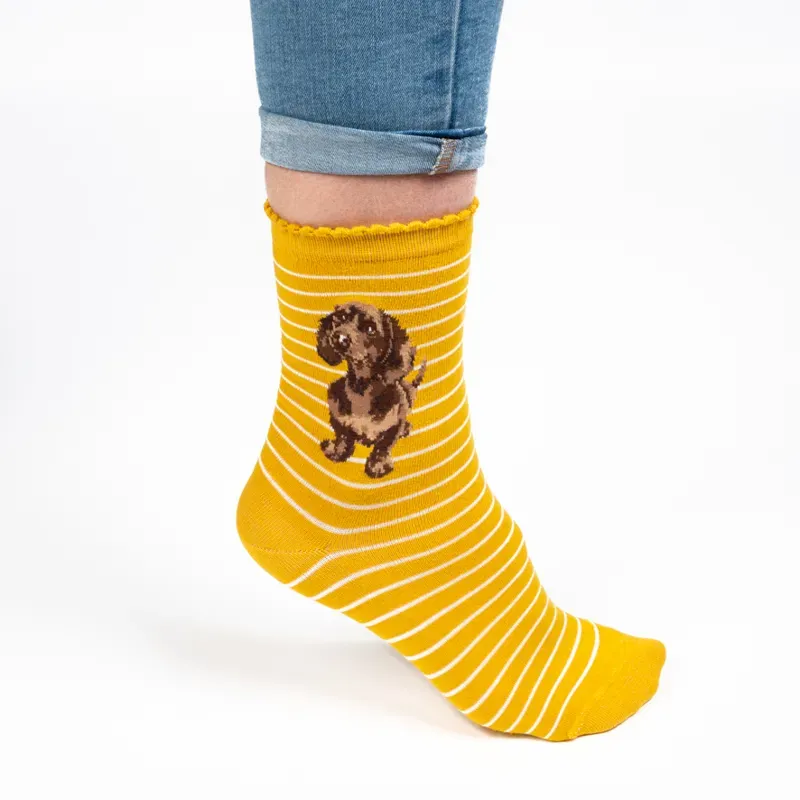Wrendale Designs Little One Women's Socks in Yellow-1