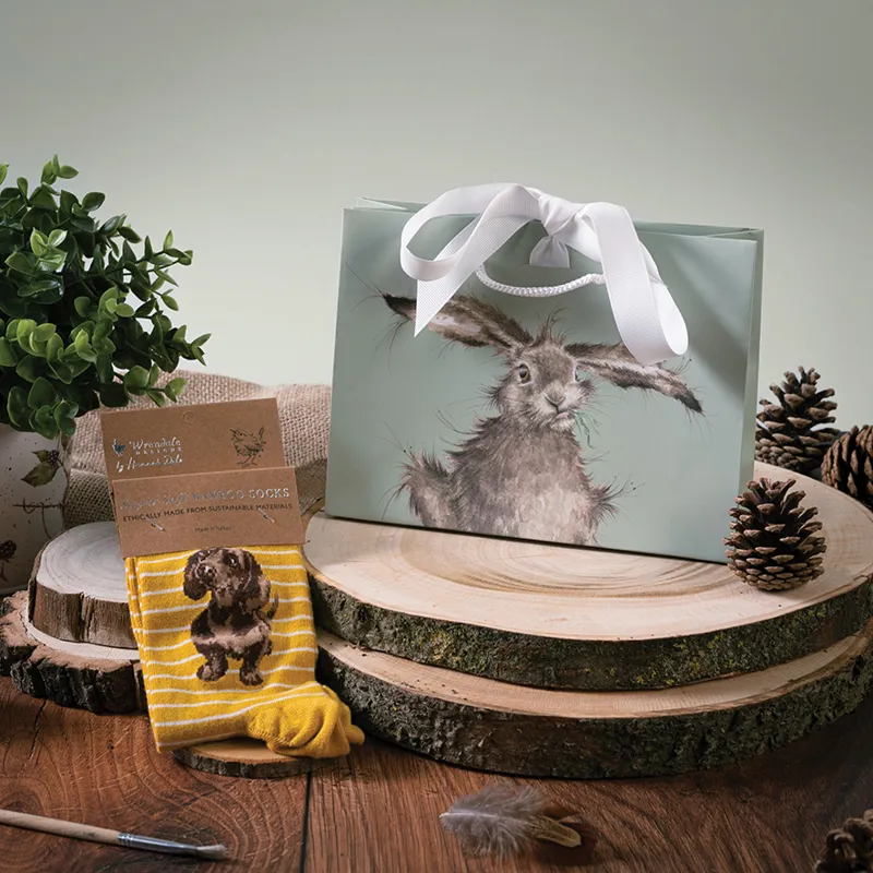 Wrendale Designs Little One Women's Socks in Yellow-2