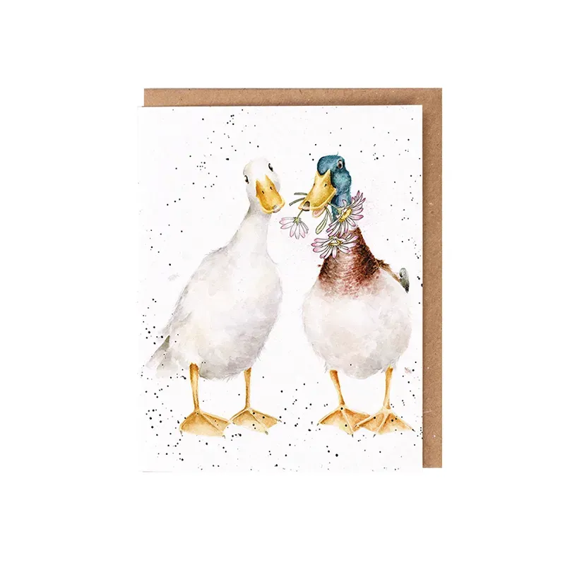 Wrendale Designs Not a Daisy Goes By Seed Card in White