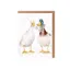 Wrendale Designs Not a Daisy Goes By Seed Card in White