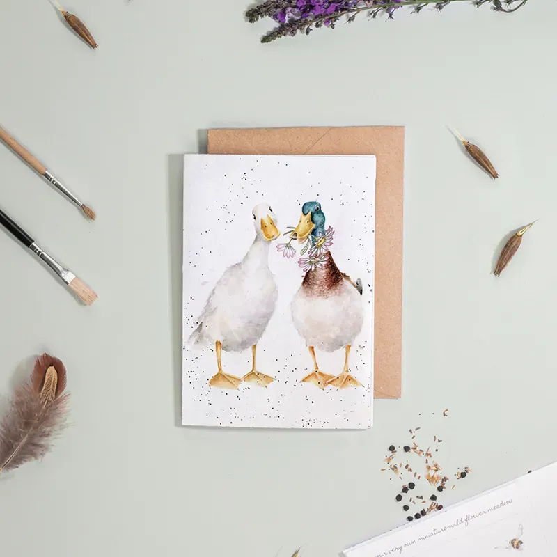 Wrendale Designs Not a Daisy Goes By Seed Card in White-1