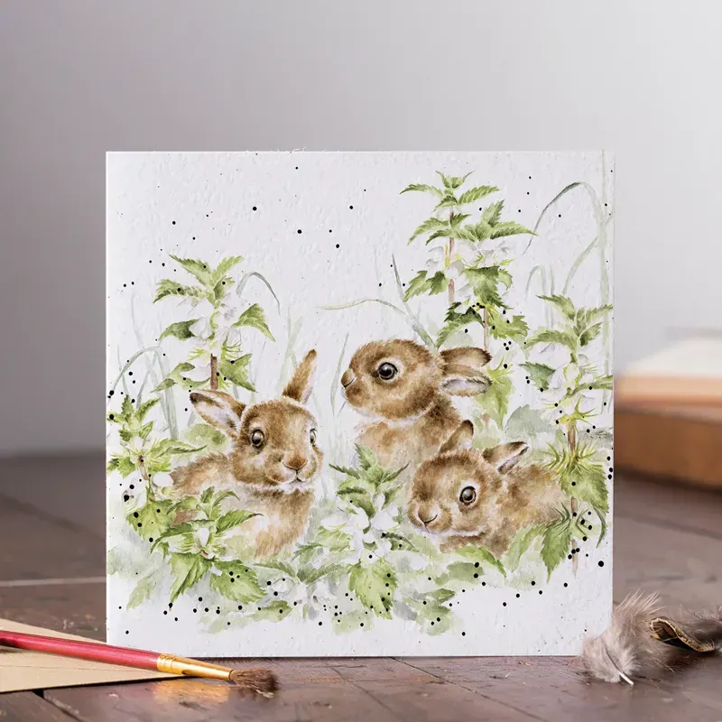 Wrendale Designs Spring Hares Greetings Card in White-1