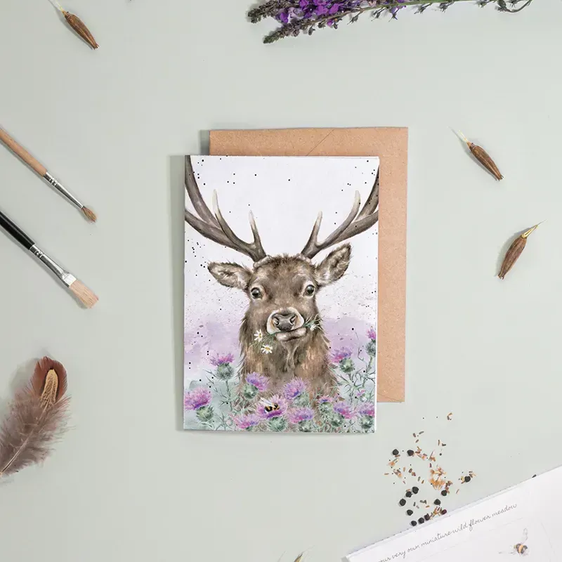 Wrendale Designs Thistle Make You Smile Seed Card -1