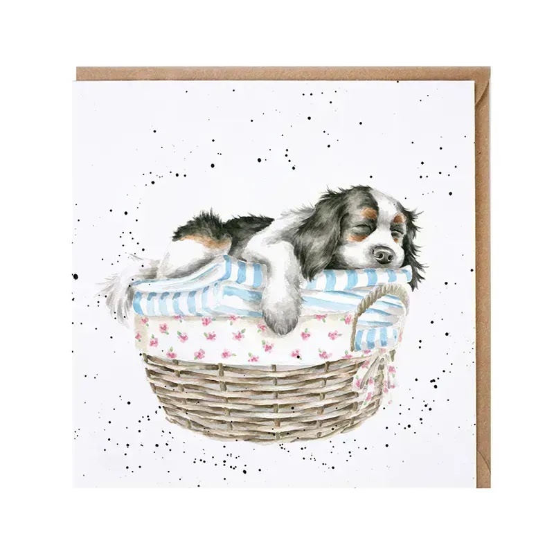 Wrendale Designs Wash Dry Fold Repeat Greeting Card 