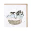 Wrendale Designs Wash Dry Fold Repeat Greeting Card 