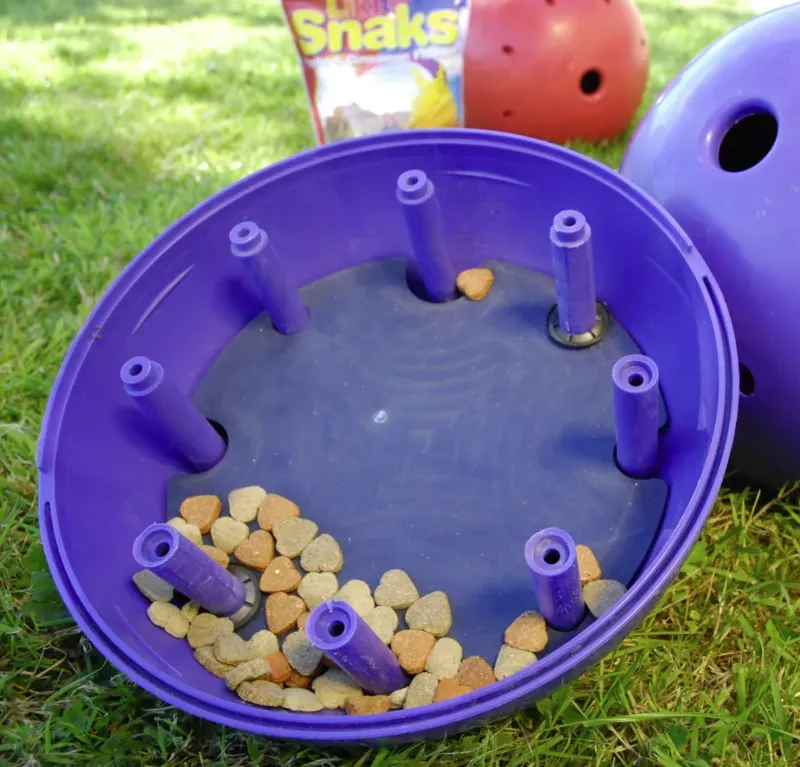 Likit Snak-a-Ball in Purple-1