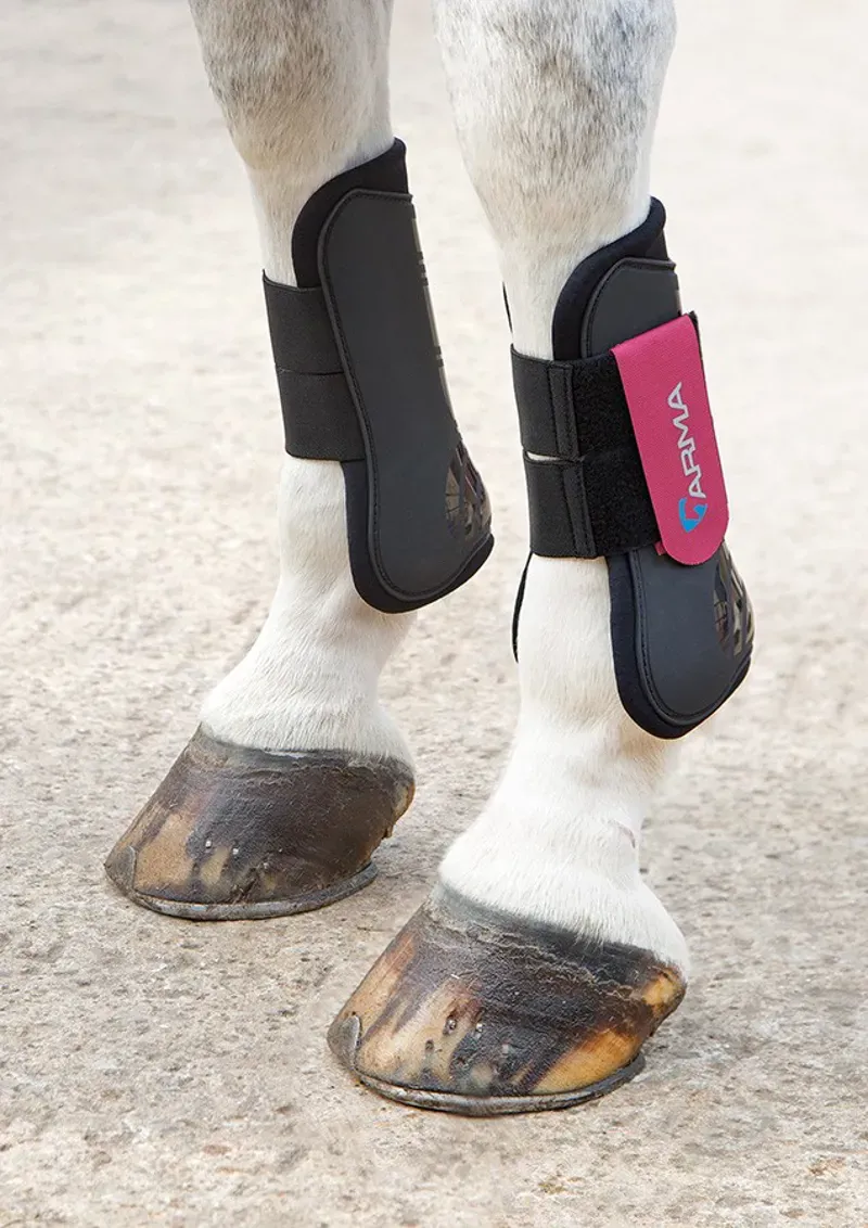 Arma Cob Tendon Boots in Black/Raspberry