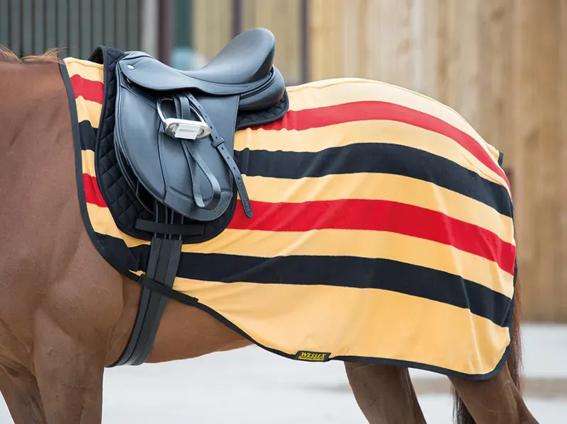 Tempest Original Fleece Exercise Sheet