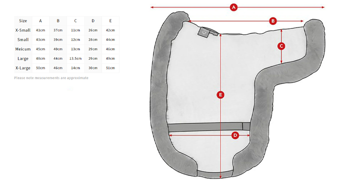 size-guide